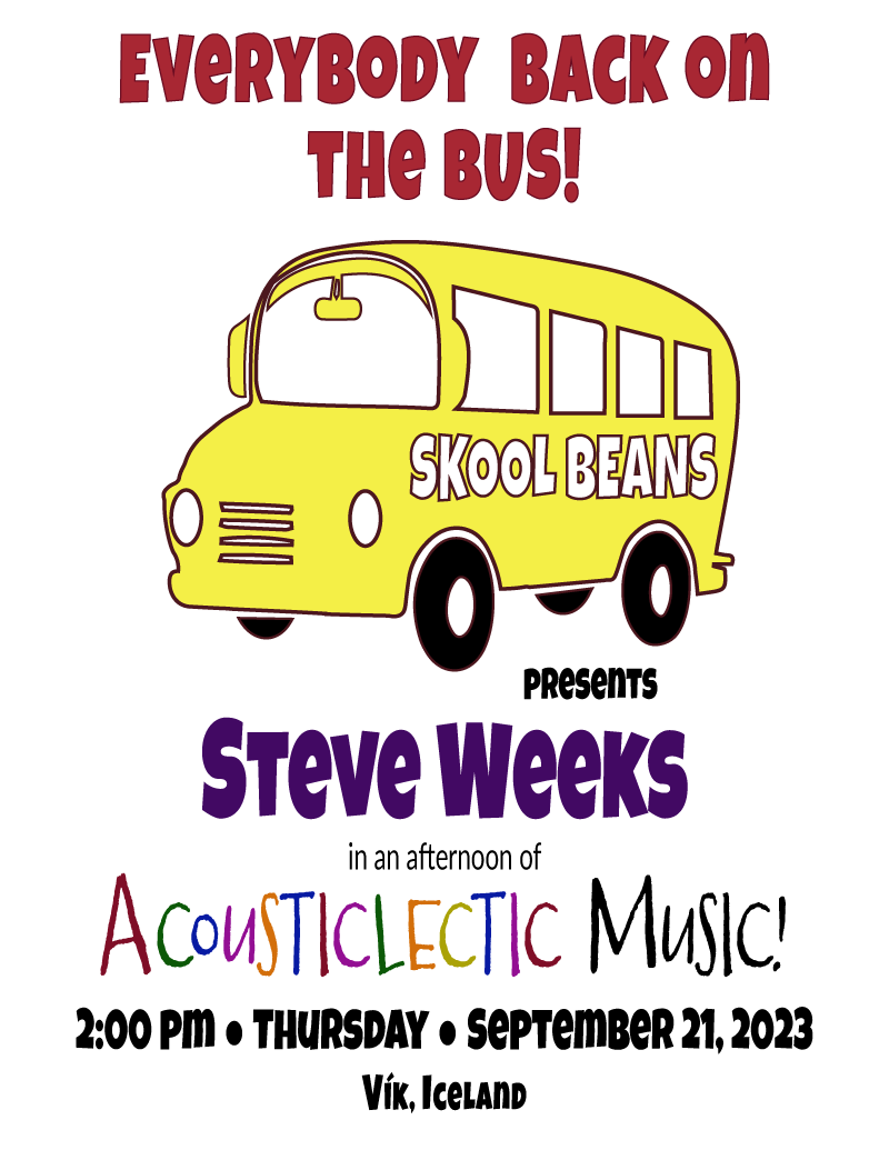 Concert Poster of Steve live at Skool Beans 2023